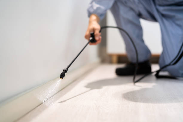 Licensed Termite Control service in Isla Vista, CA - Nex Pest Control