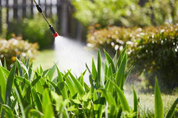 24/7 Emergency Termite Control experts in Isla Vista, CA